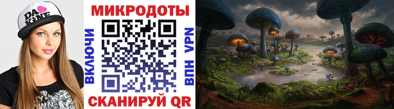 Псилоцибиновые грибы Magic Shrooms Западная Двина