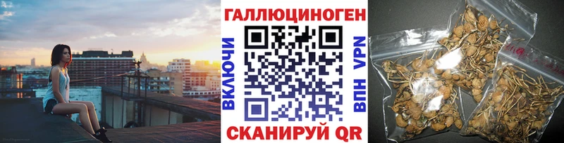Галлюциногенные грибы Magic Shrooms  Купить  Западная Двина 